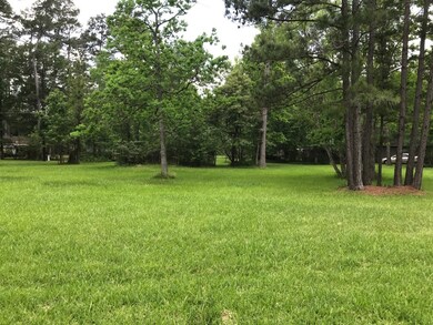 45, 46-A Basswood Dr, Spring, TX 77386 - photo 2