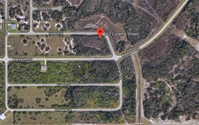 262 Lunette St, Fort Myers, FL 33913 - photo 2