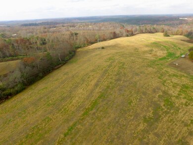 00 County Road 77, Arley, AL 35541 - photo 6