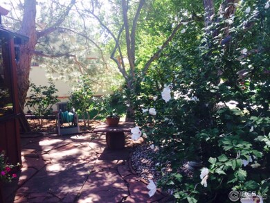 Front Yard by Entry