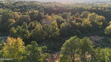 6 Tyro Branch Cove, Senatobia, MS 38668 - photo 3