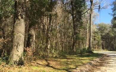 .TBD Bumble St, Fort White, FL 32038 - photo 4