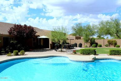 Huge Yard