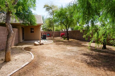 Back yard