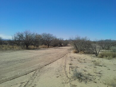12802 Green Cactus III