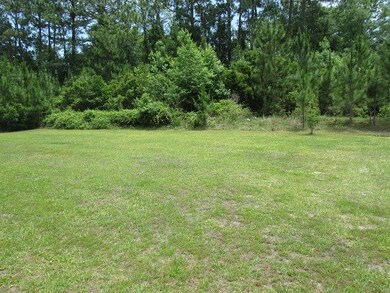 1163 Jim Truesdell Rd SE, Darien, GA 31305 - photo 2