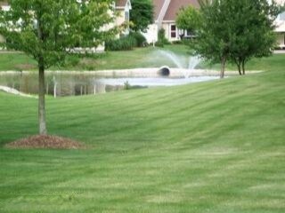 Association pond