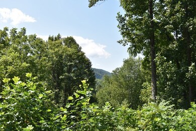 Current View-trim some trees