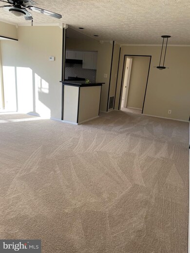 3708 N Rosser St unit 103, Alexandria, VA 22311 - photo 2