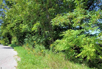 00 Cedar St, Central Lake, MI 49622 - photo 7