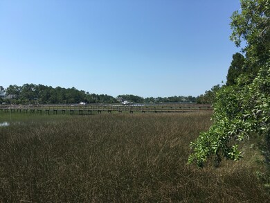 IMG_7425
