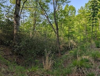 00 Cherokee Mine Rd, Franklin, NC 28734 - photo 4