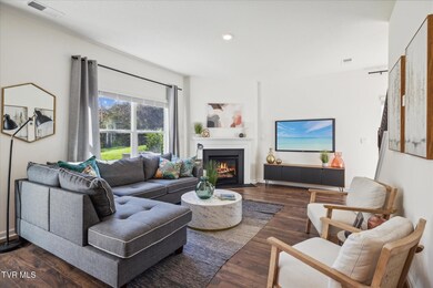 341 Alta Tree Blvd, Johnson City, TN 37604 - photo 7