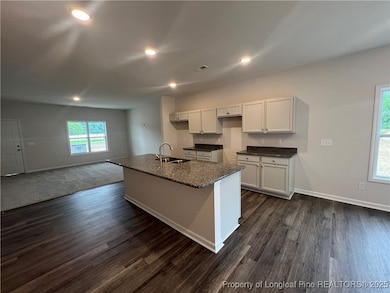 160 Dalton Dr, Lumber Bridge, NC 28357 - photo 7