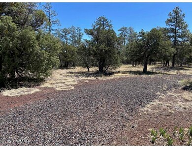 0 Show Low Lake Rd, Show Low, AZ 85901 - photo 6