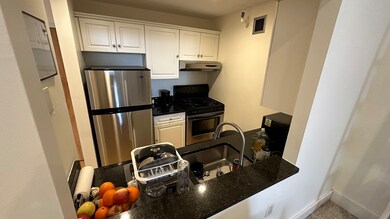 Parris Landing unit 5203, Charlestown, MA 02129 - photo 4