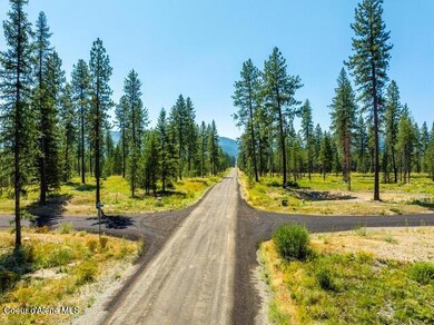 LT 2 BLK 2 Cannon Ln, Blanchard, ID 83804 - photo 4