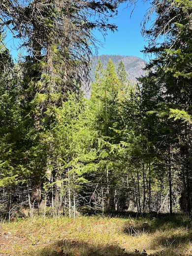 26 Tamarack Dr, Thompson Falls, MT 59873 - photo 6