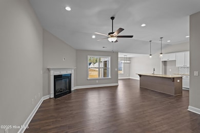 2340 Rhinestone Dr, Winterville, NC 28590 - photo 3