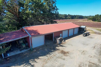 DJI_0139