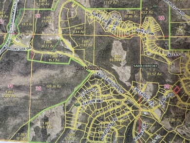 56 Ranch Rd, Saddlebrooke, MO 65630 - photo 3