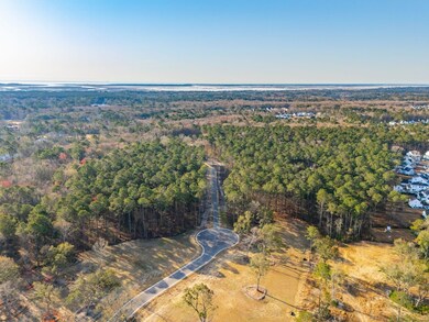 3909 Summerton St, Mount Pleasant, SC 29466 - photo 5