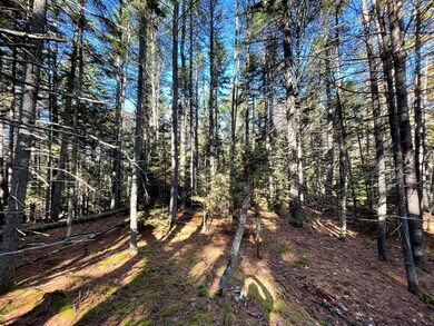 56A-1 Foggs Point, Freeport, ME 04032 - photo 2