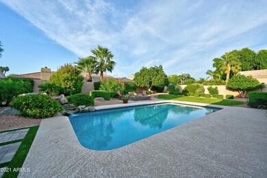 Backyard 6