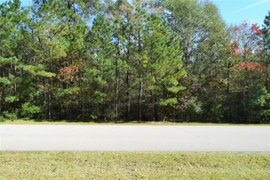 0 Sky Forest Cir unit 81862688, Magnolia, TX 77355 - photo 6