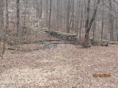 254 Tulip Rd, Harveys Lake, PA 18618 - photo 5