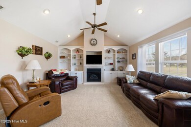 Fireplace & built ins