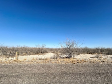 0 7d unit 50080649, Fort Stockton, TX 79735 - photo 5
