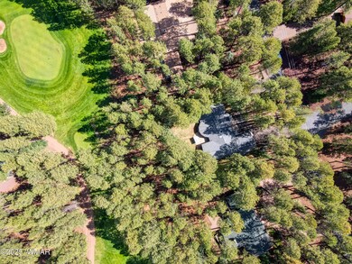 7510 Geronimo Rd, Pinetop, AZ 85935 - photo 6