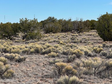 Lot 338 Sierra Highlands Ranch -- unit 338, Saint Johns, AZ 85936 - photo 3