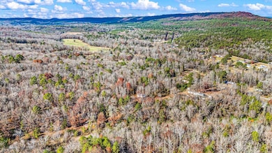 2805 Larue Ridge Rd, Dover, AR 72837 - photo 4