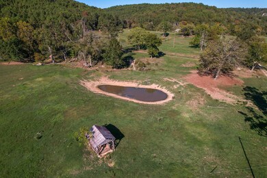 4495 County Rd 405, Alton, MO 65606 - photo 6