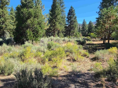 598 Longhorn Dr, Loyalton, CA 96118 - photo 2