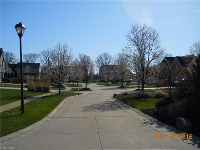 Wonderful established neighborhood.