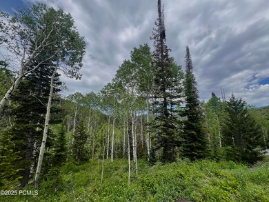 8550 N Uinta Dr unit 759, Oakley, UT 84055 - photo 3