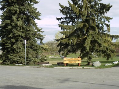 DSC04514