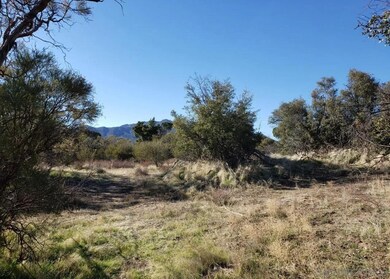 Cave Rock 0, Anza, CA 92539 - photo 7
