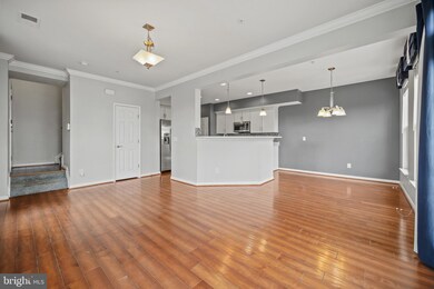 25253 Laureldale Terrace, Chantilly, VA 20152 - photo 7