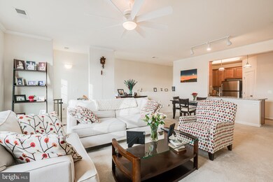 24677 Lynette Springs Terrace unit 302, Aldie, VA 20105 - photo 3