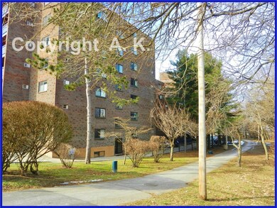 32 Whites Ave unit F8802, Watertown, MA 02472 - photo 2