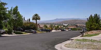 DSC_3019a
