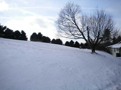Yard/Garden.