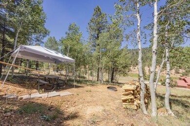 Aspen Trees and Firepit