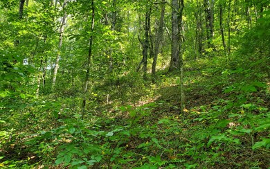 Additional View