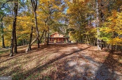 647 Knight Bottom Rd SE, Fairmount, GA 30139 - photo 3