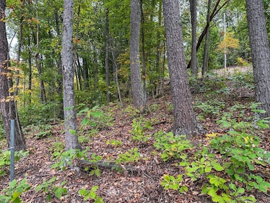 0 Lower Twin Rd, South Salem, OH 45681 - photo 4